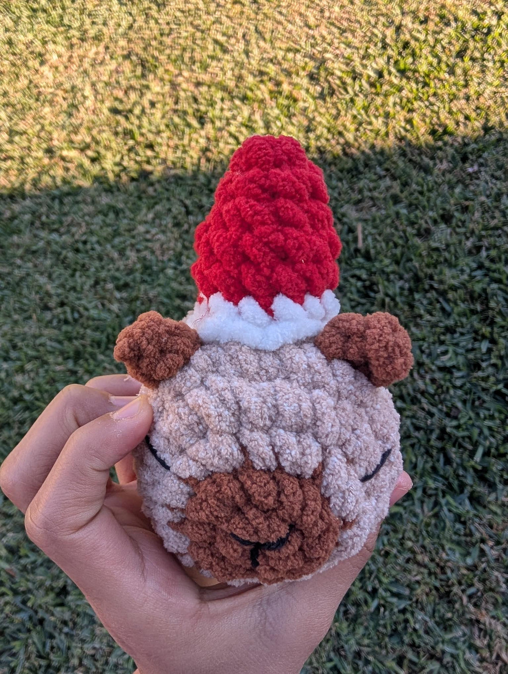 capybara santa