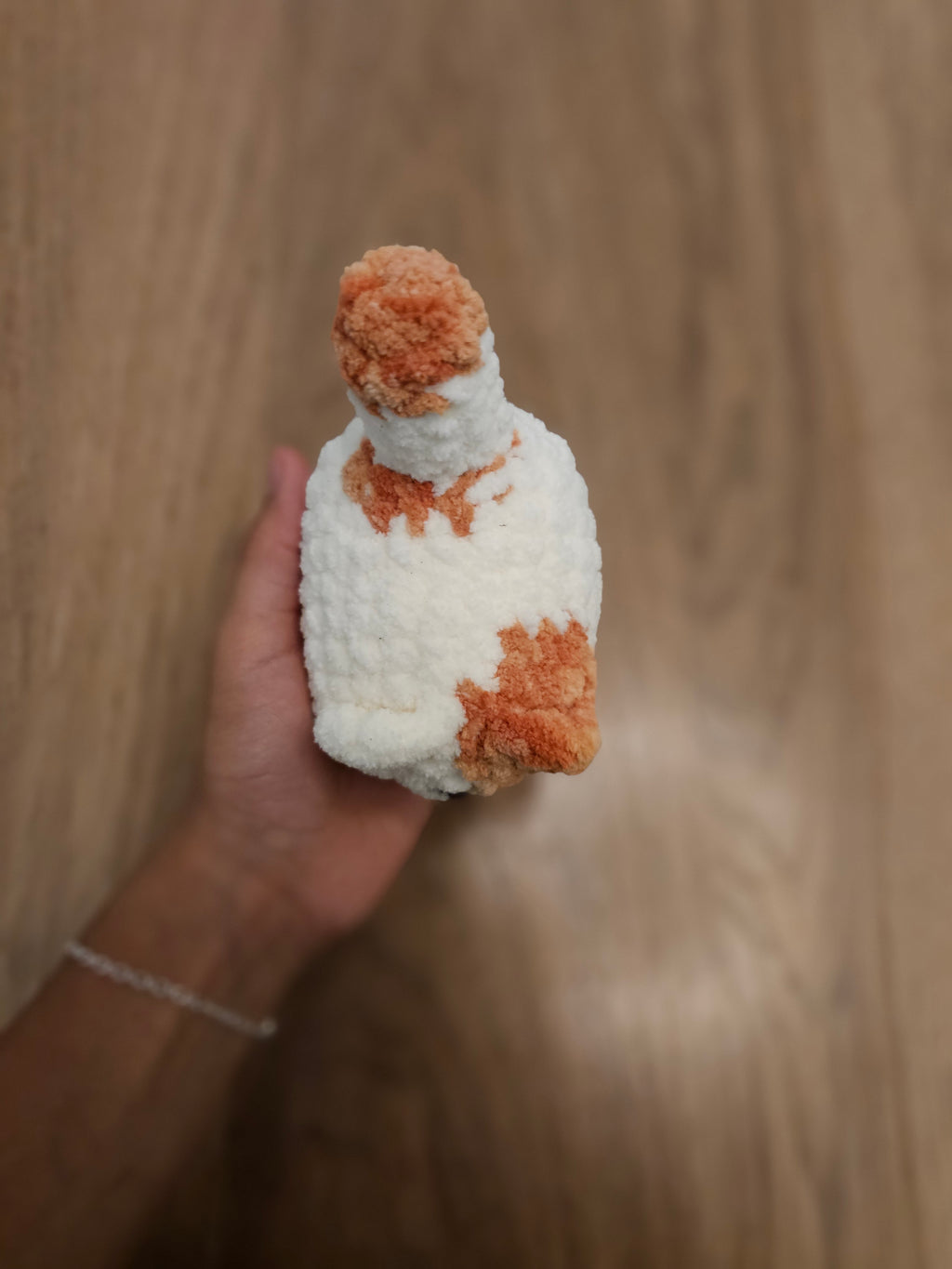 Mini ginger cat