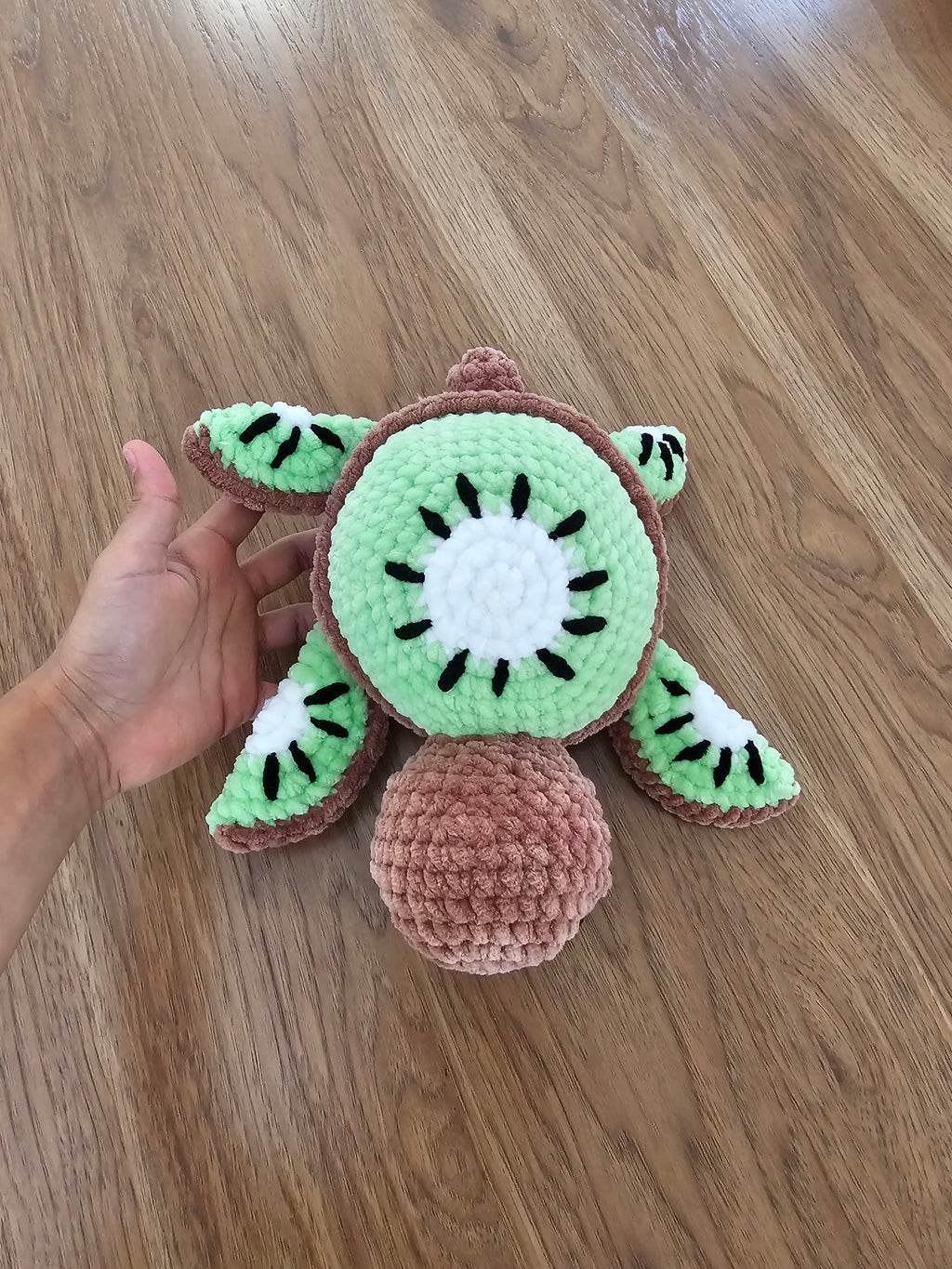 Kiwi turtle 🥝