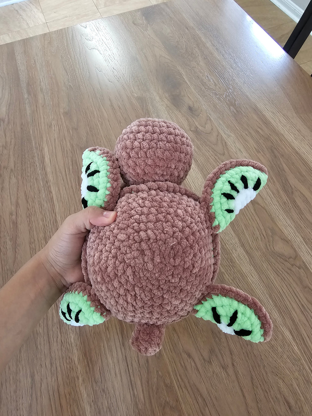 Kiwi turtle 🥝