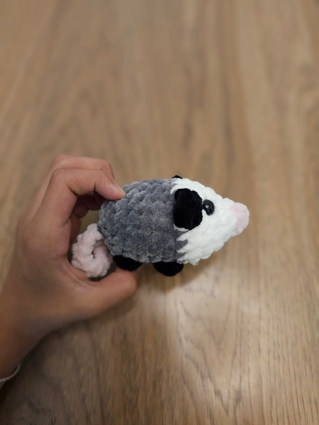 Dark gray possum