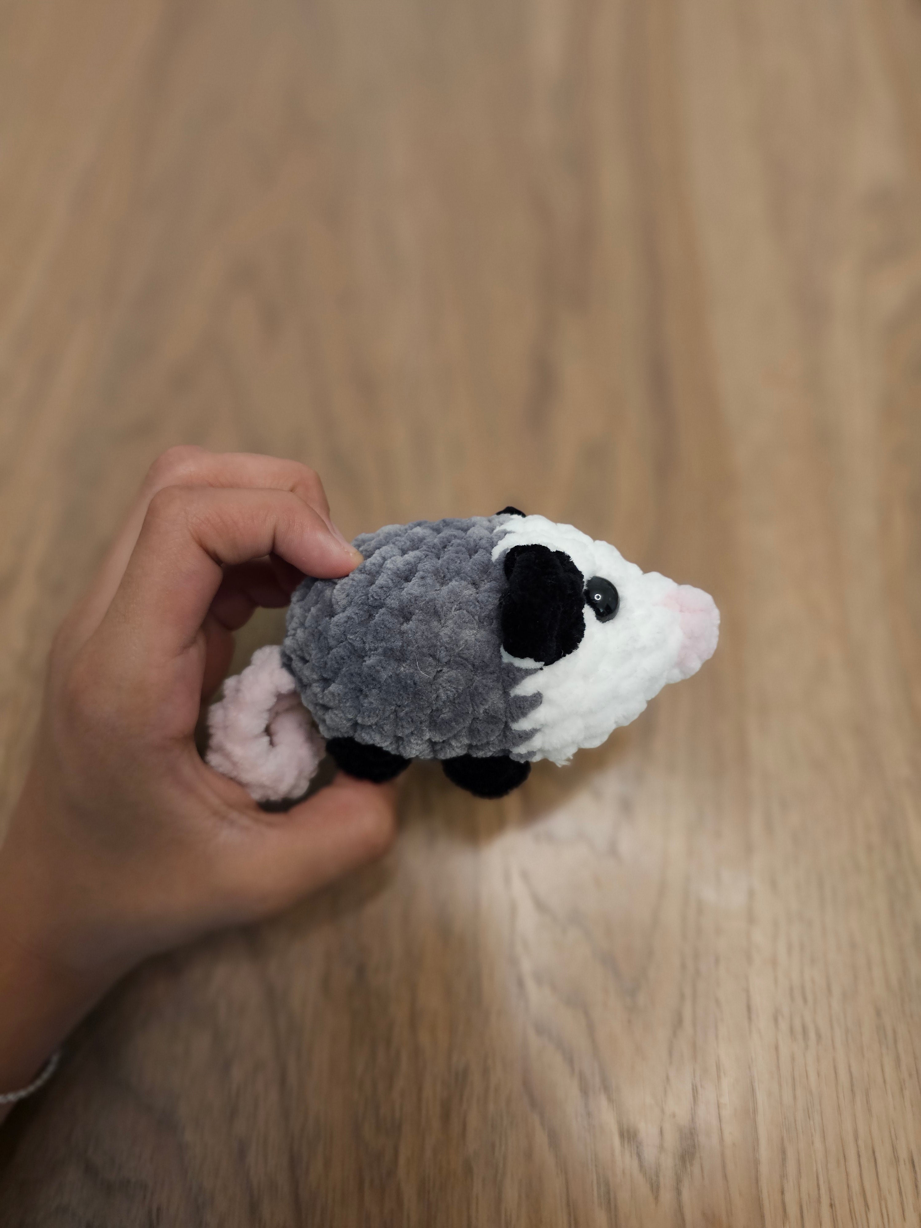 Dark gray possum