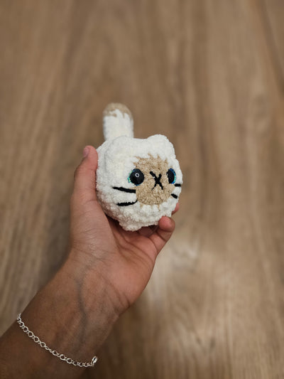Mini siamese cat