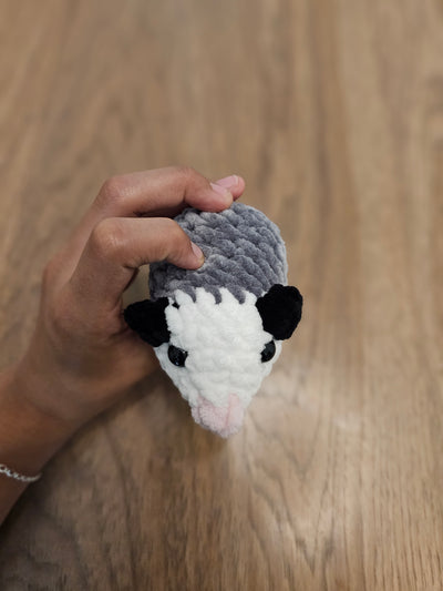 Dark gray possum